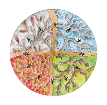 en cirkel opdelt i 4 med malet årstiderne